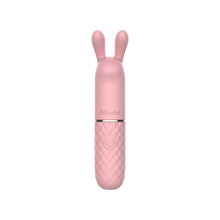 Stim Bullet