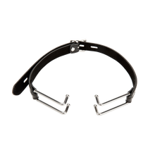 Kink Open-Mouth Gag
