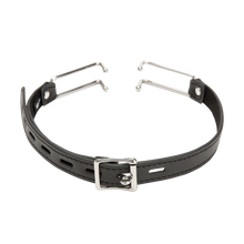 Kink Open-Mouth Gag