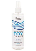 Before & After Toy Cleanser (8.5oz)