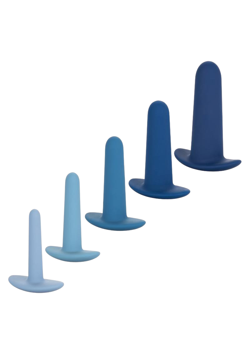 They-Ology Wearable Anal Trainer Set