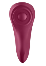 Satisfyer Sexy Secret Panty Vibrator